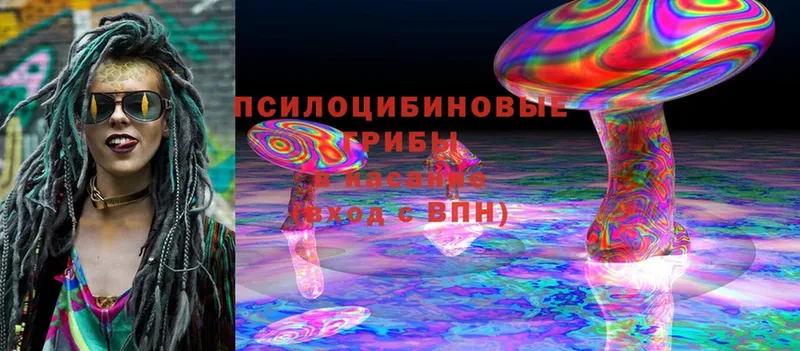 Галлюциногенные грибы MAGIC MUSHROOMS  ссылка на мегу ссылки  Бабушкин 